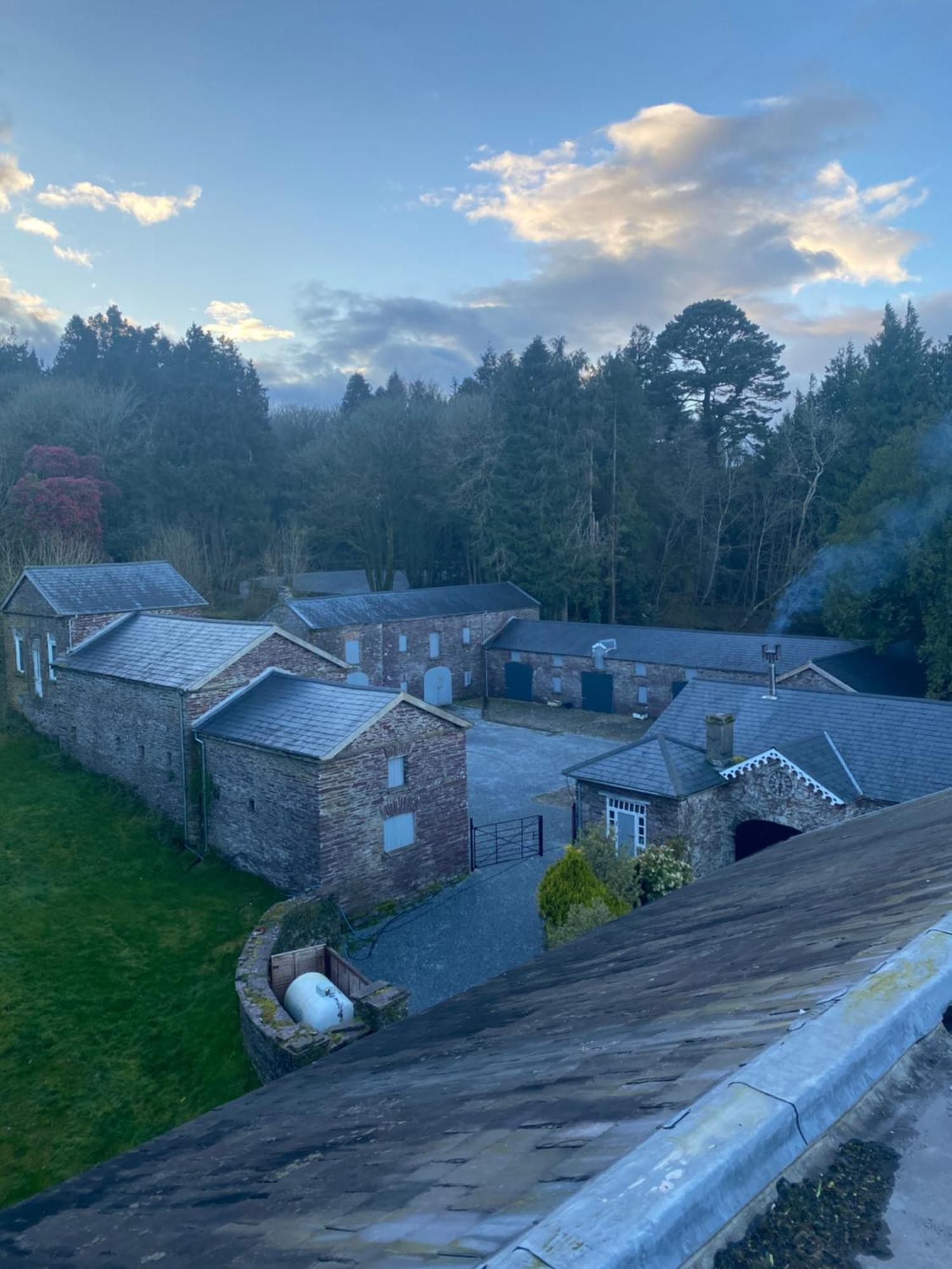 Villa Dripsey Castle Estate Cork Exterior foto