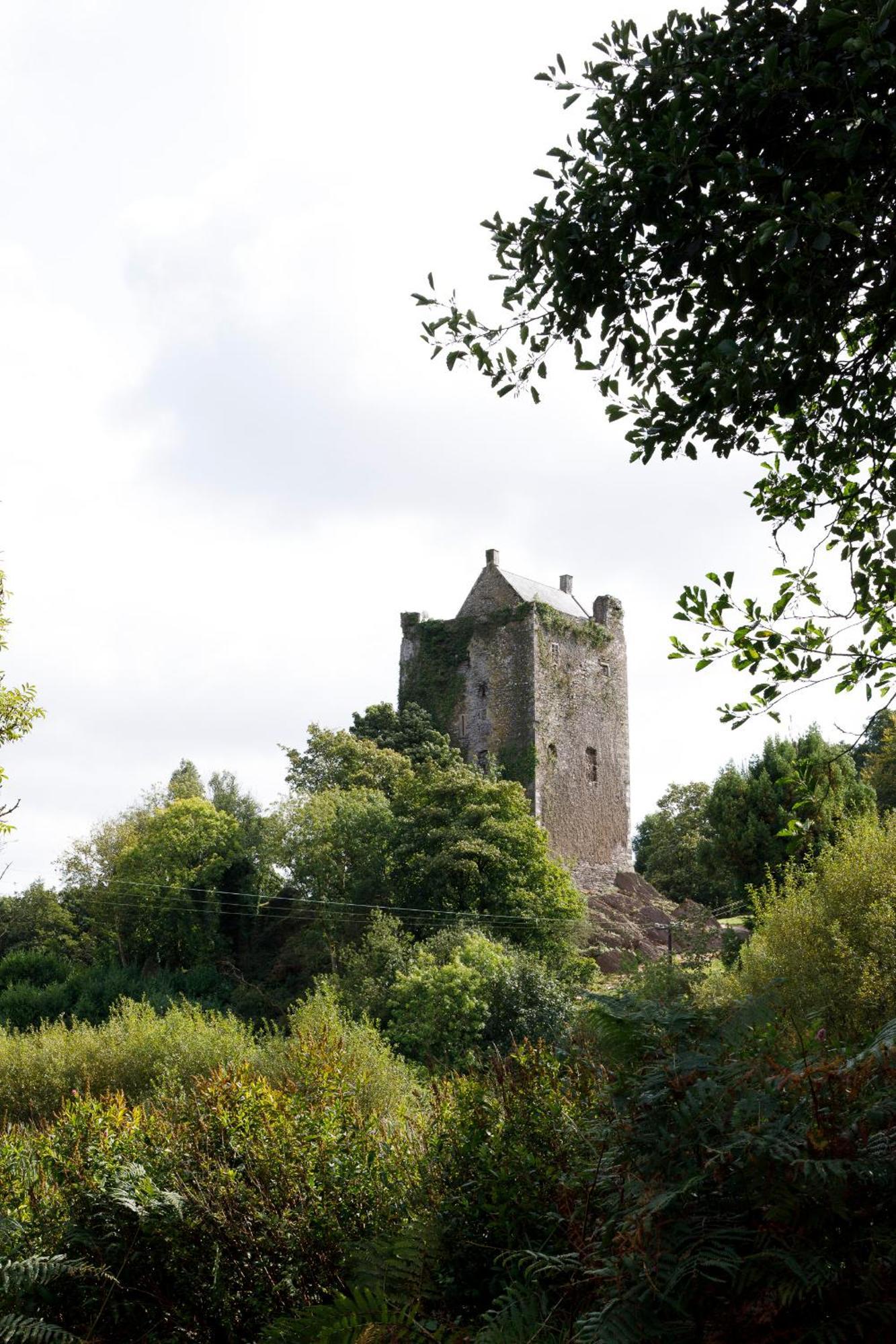 Villa Dripsey Castle Estate Cork Exterior foto