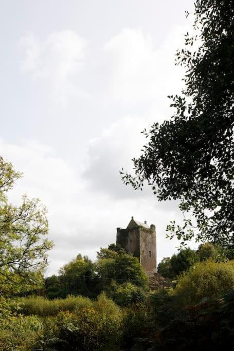 Villa Dripsey Castle Estate Cork Exterior foto